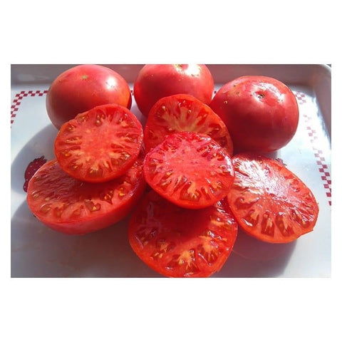 Géante d'Orembourg - Semences de tomates cultifreed