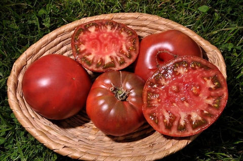 Noire de Crimée - Semences de tomate cultifreed