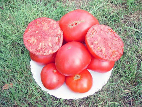 Brandywine Rose - Semences de tomates cultifreed