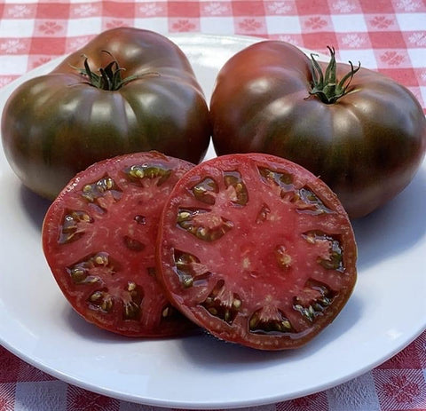 Paul Robeson - Semences de tomates cultifreed