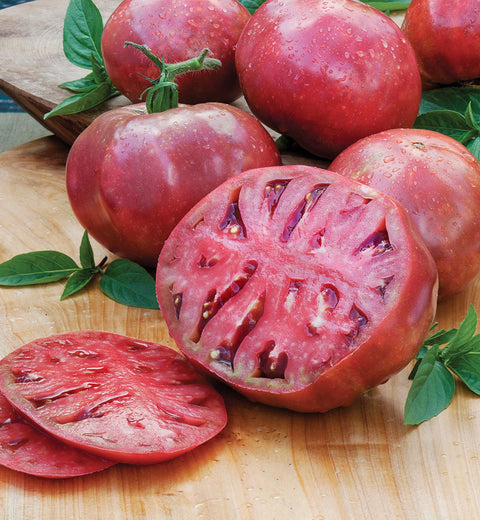 Cherokee - Semences de tomates cultifreed