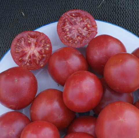 Rose Claire - Semences de tomates cultifreed