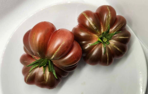 Calabache Pourpre  - Semences de tomates cultifreed