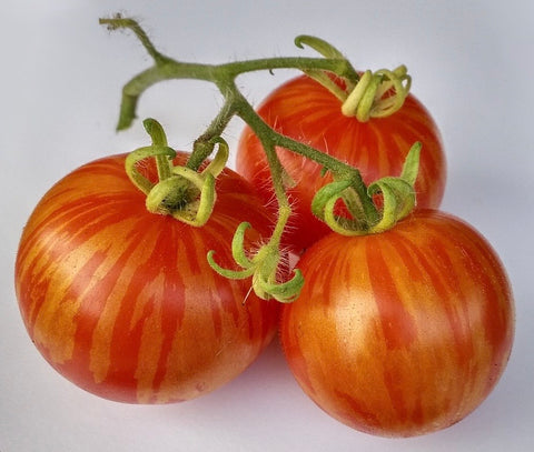 Tigerella - Cultifreed Tomato Seeds